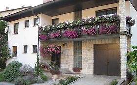 Apartment Zvab